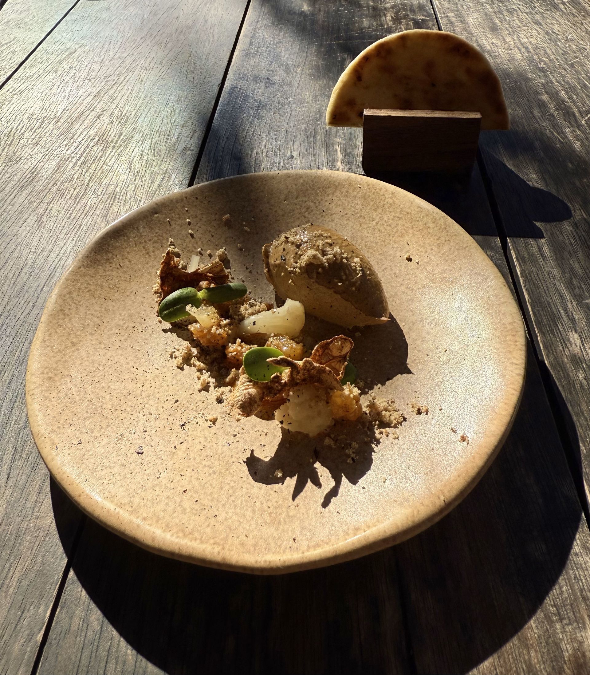 Dessert on a tan plate, with ice cream, crumble, and a curved cracker, on a wooden table.