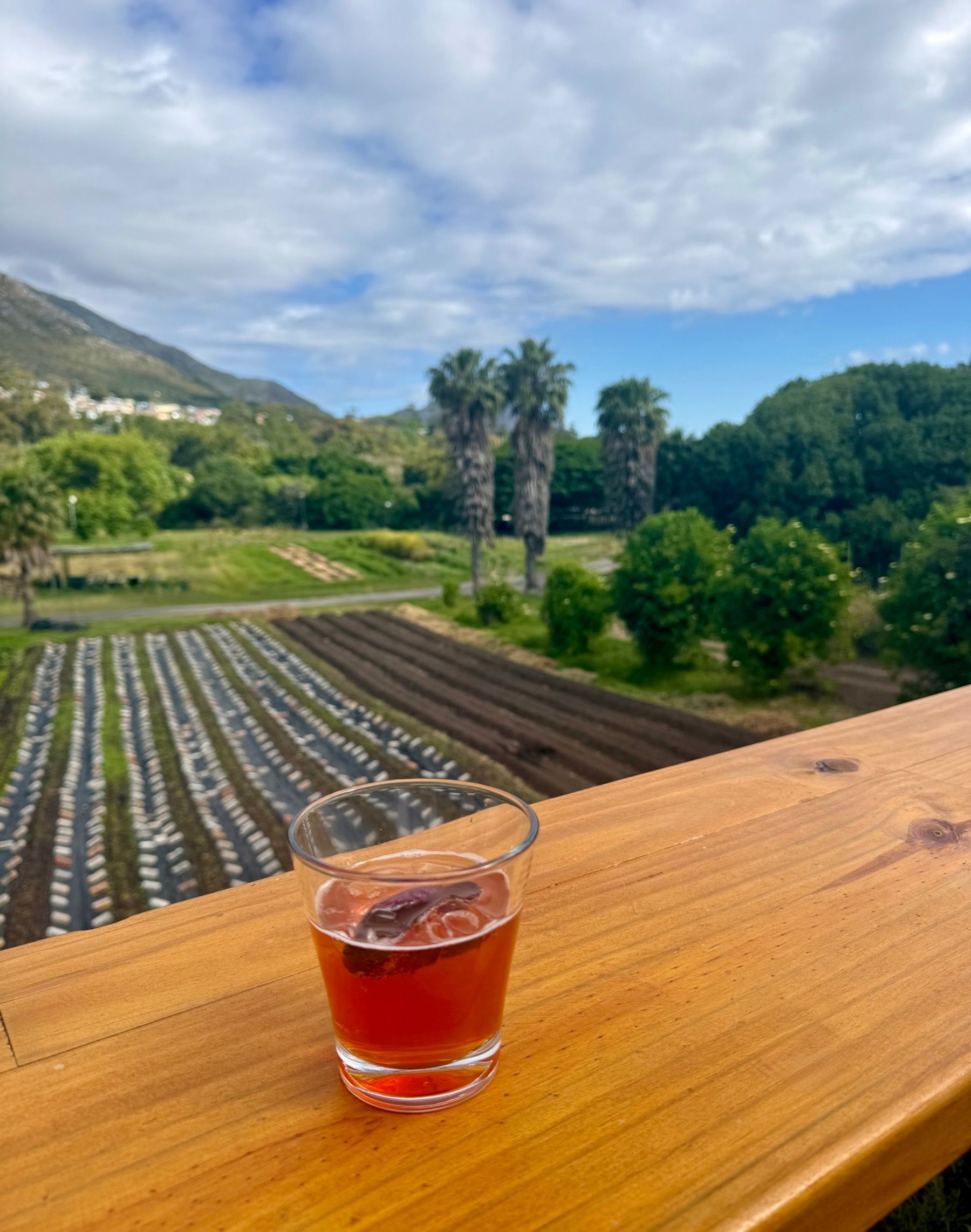 Spritzy welcome cocktail served on the deck overlooking vegetable rows at Meuse Farm in Hout Bay