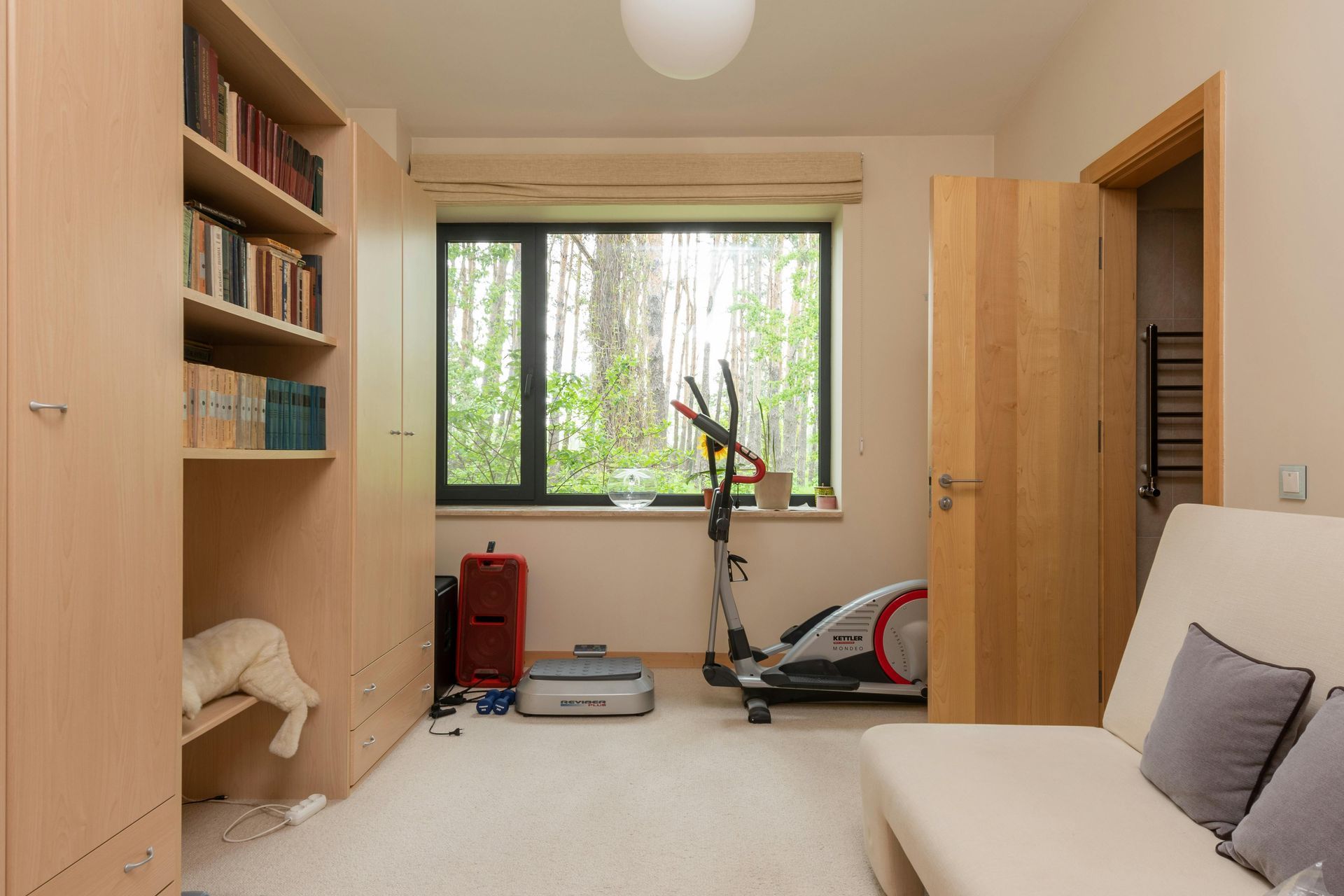 A living room with a couch , a treadmill and a window.