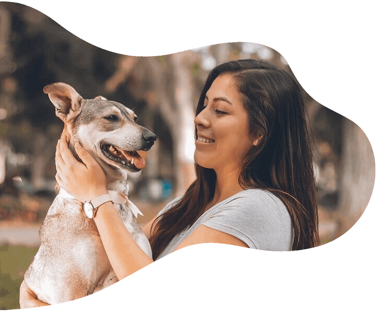 good dog with owner