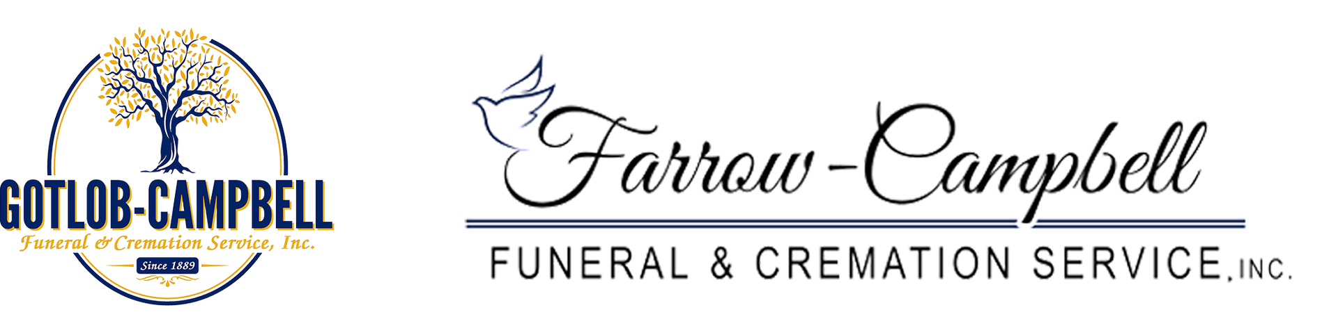 logo-image