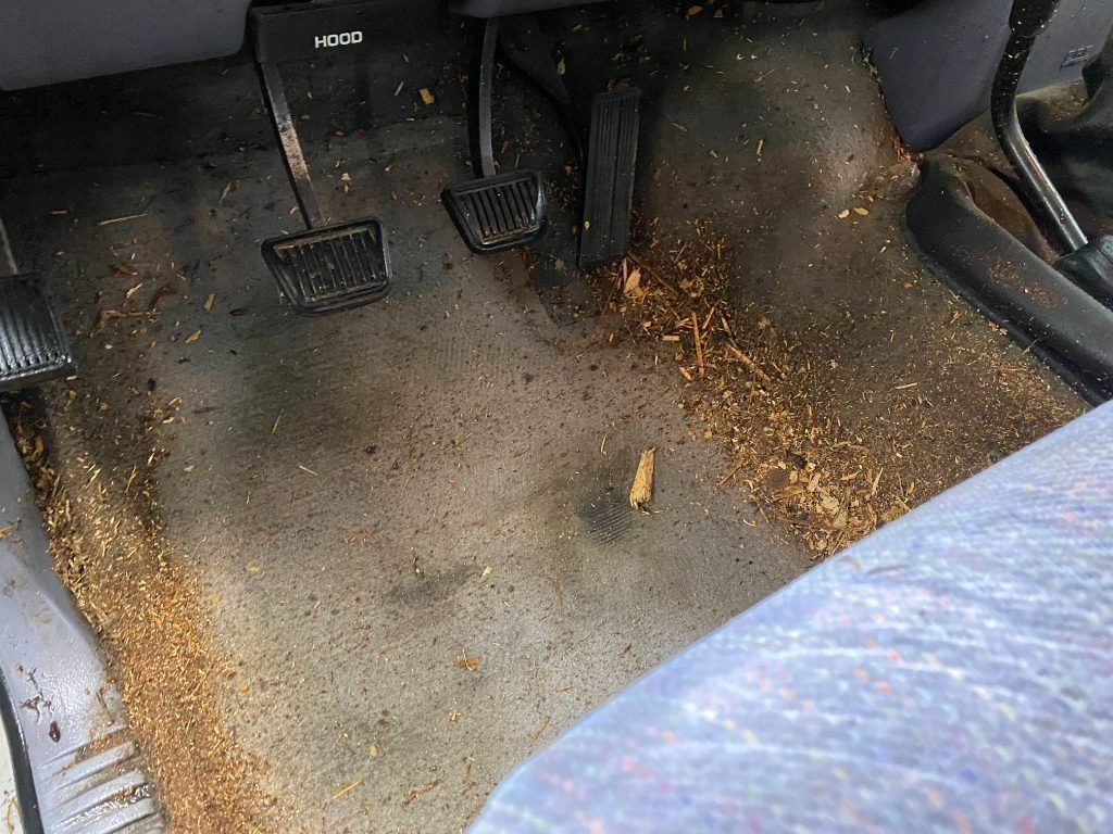 Car floor with dirty pedals and scattered cereal crumbs near the seat