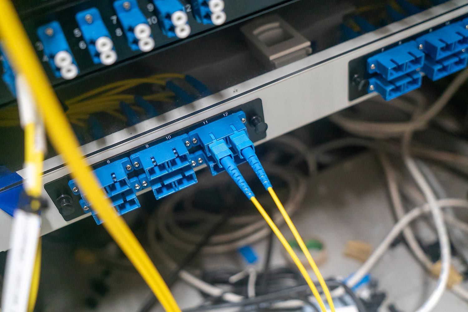 Closeup of fiber optic cables connected in a data centre.