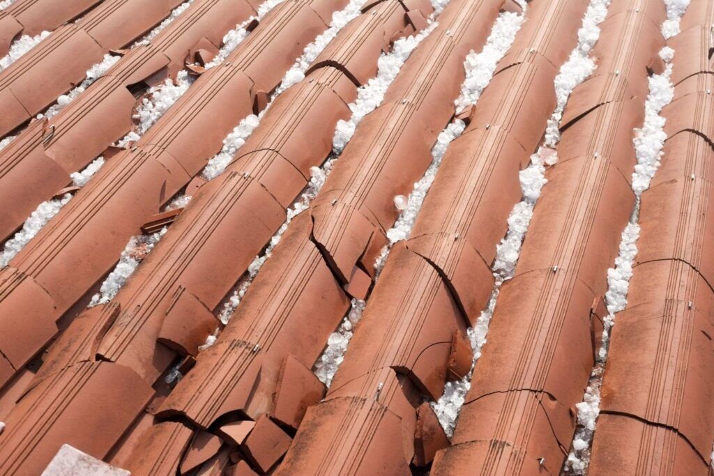 Roof Shingle Hail Damage
