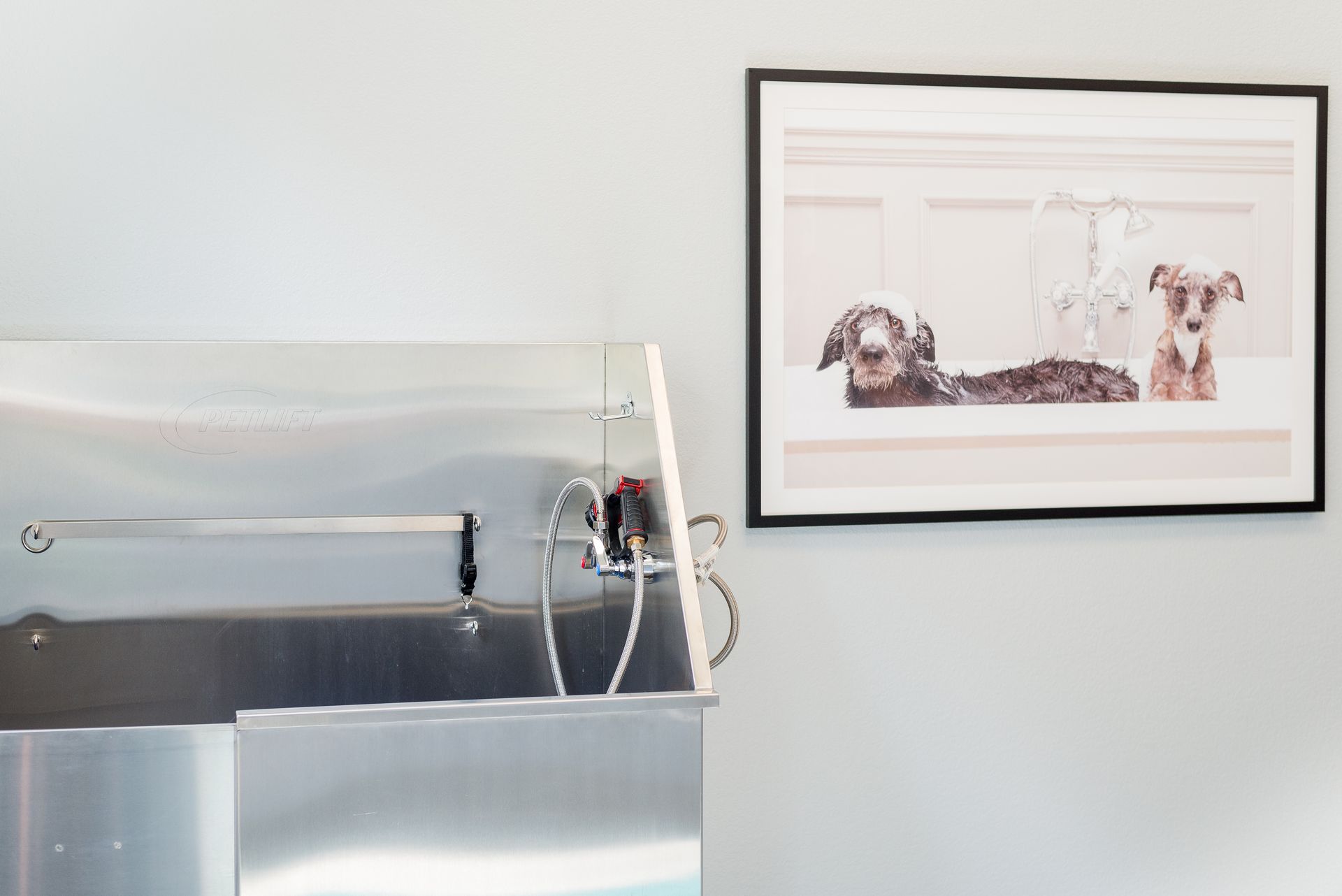 Silver dog washing station next to a framed dog portrait on a gray wall.
