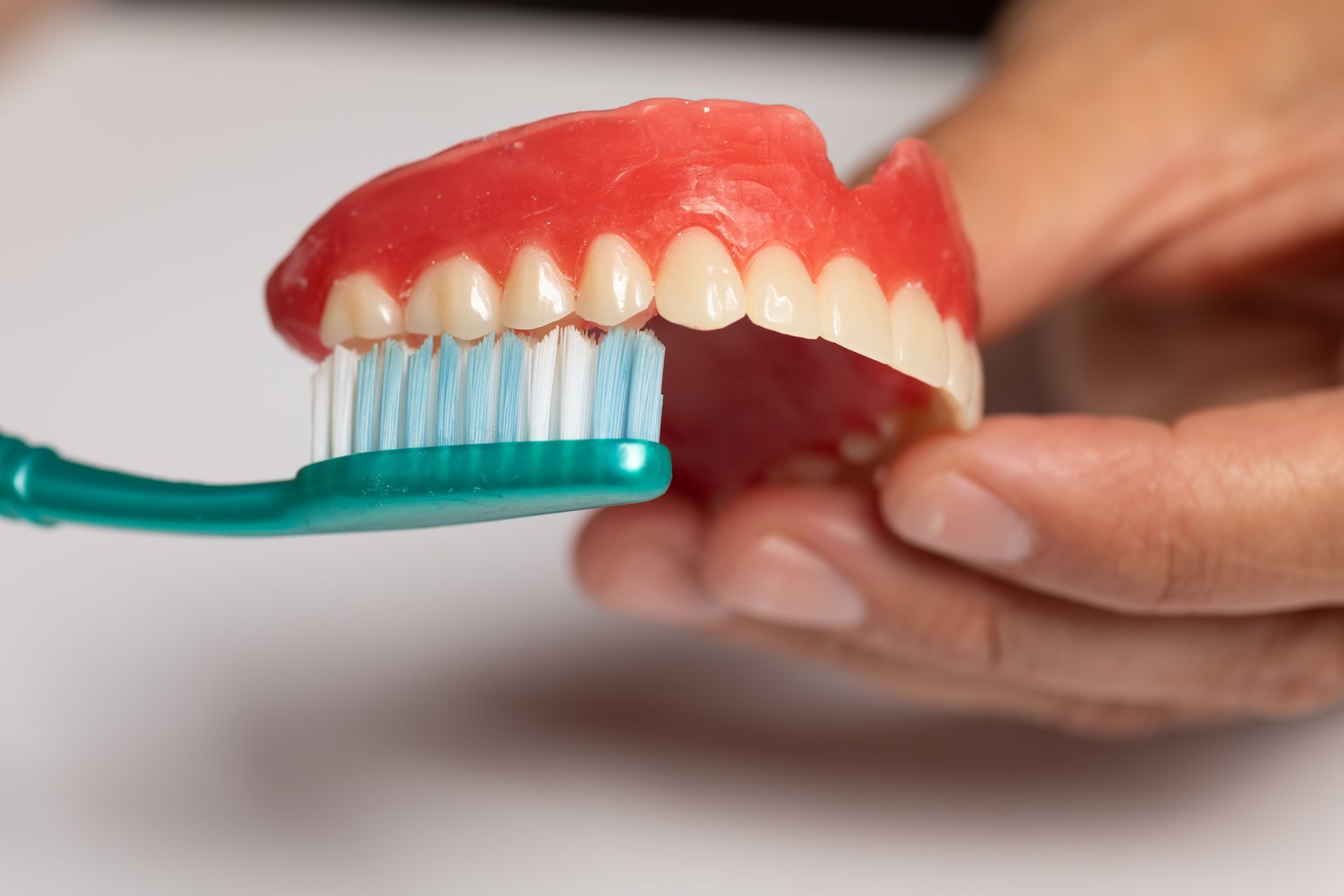 A person holding top dentures and using a toothbrush for proper dental hygiene practice.