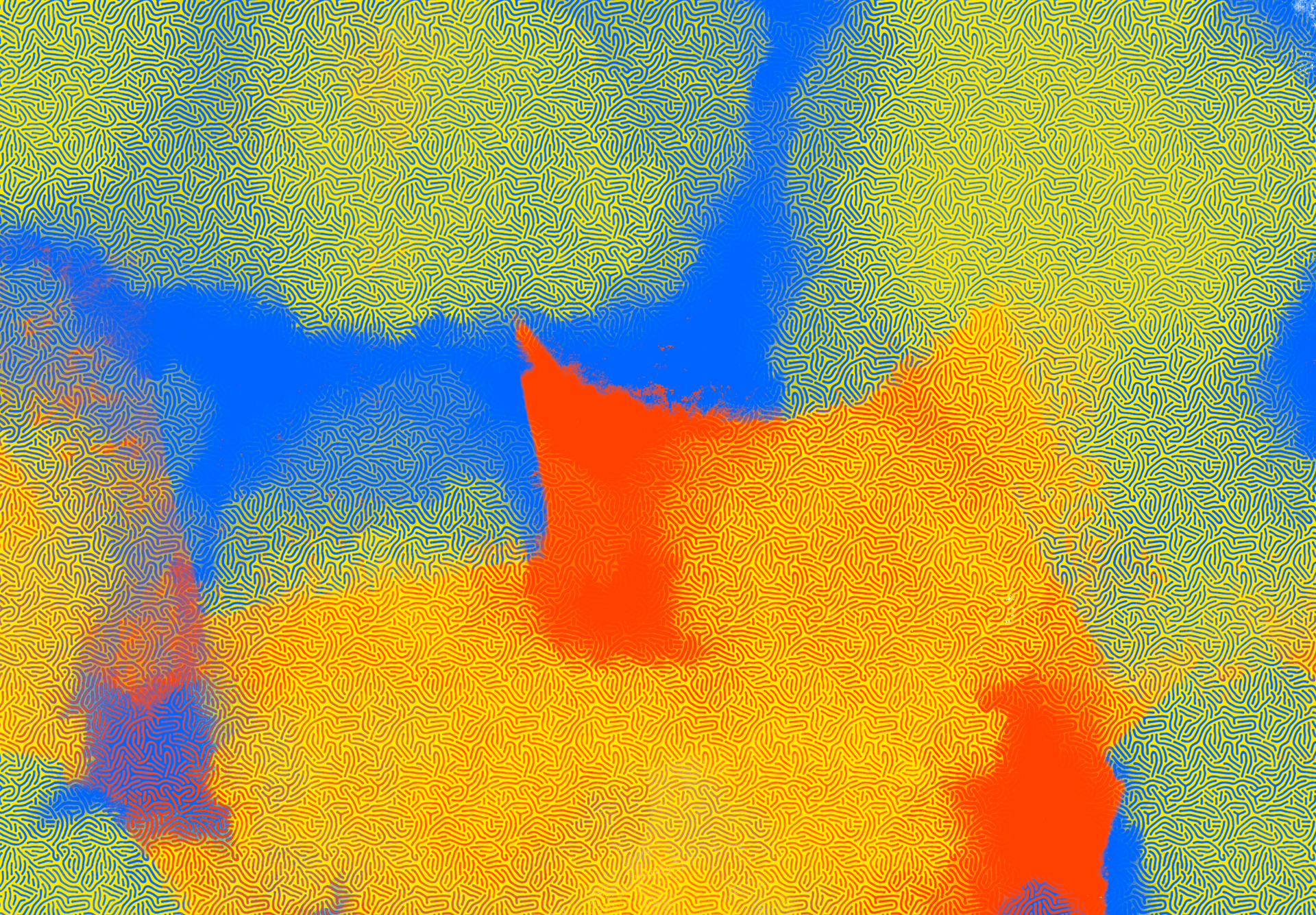 A cat is laying down on a blue and yellow background.