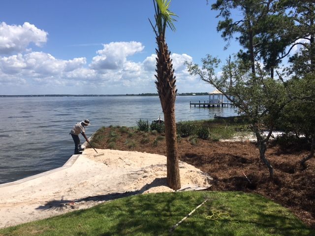 Person working on a sandy shoreline beside calm water, with trees, a dock, and blue sky in the background.