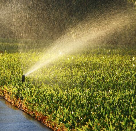 Sprinkler watering a lush green field at sunset, with a bright arc of spray