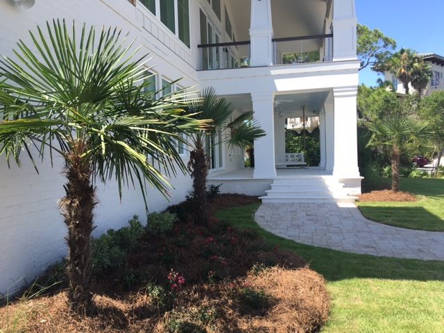 White house entrance with palm trees, stone walkway, and landscaped garden.
