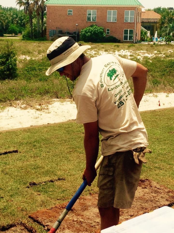 Person in a hat mowing a grassy yard near a brick house, using a blue-handled tool.