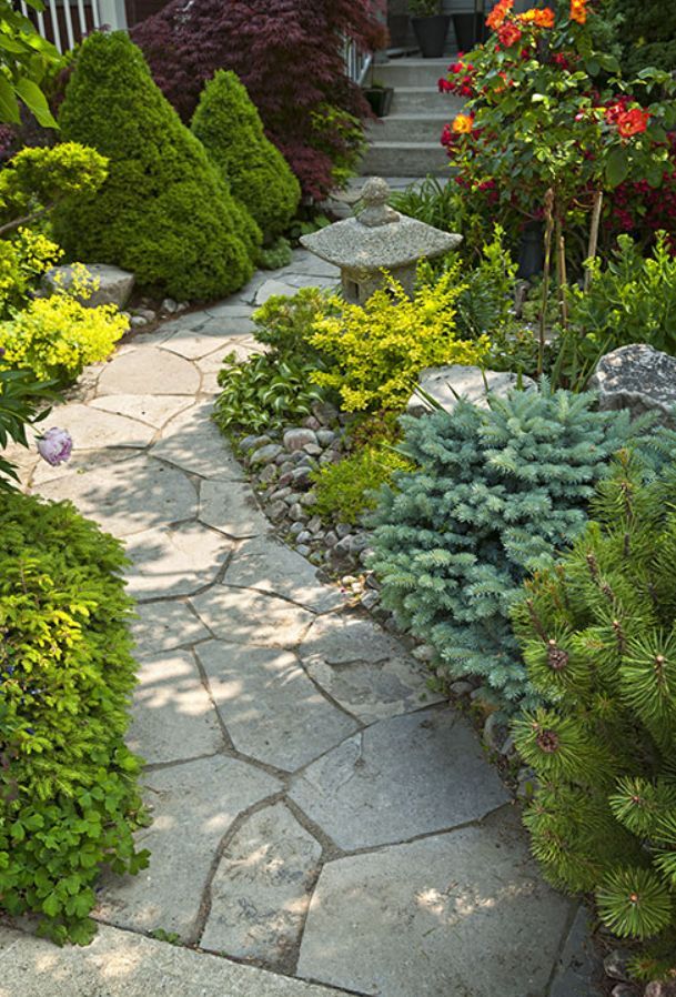 Stone garden path winding through lush green shrubs and colorful flowering plants in a landscaped yard