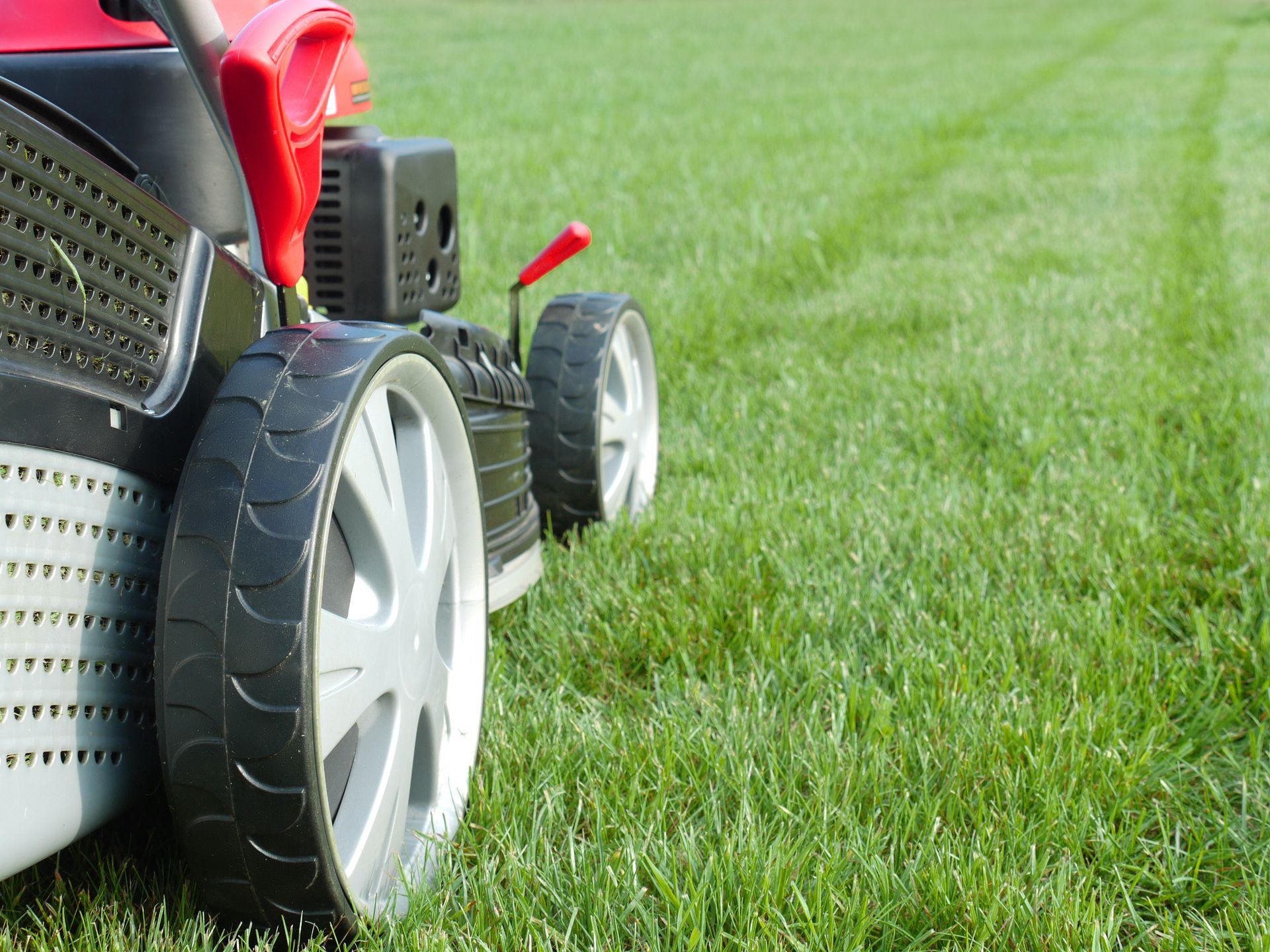 Red lawn mower cutting green grass on a lawn, close-up of the rear wheel.