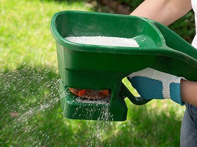 Hand spreading green lawn fertilizer with a handheld spreader over grass