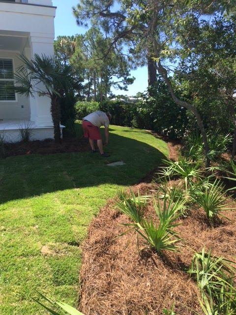 Person gardening beside a house, trimming a curved lawn edge near trees and shrubs.
