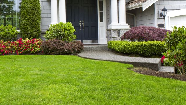 Front yard with green lawn, shrubs, and a house entrance with dark double doors