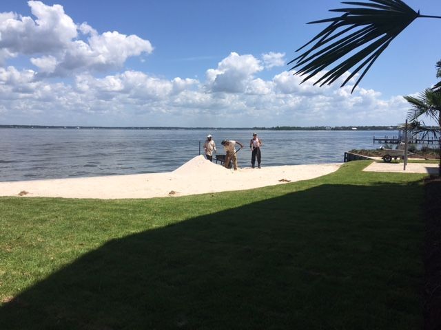 People standing by a sandy shoreline beside green grass under a partly cloudy sky.