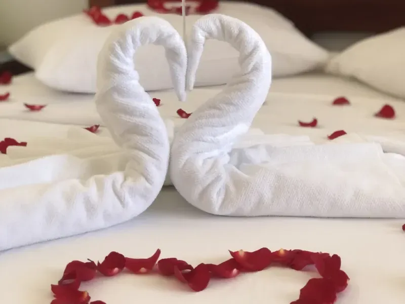 Duas toalhas brancas em forma de cisne formam um coração sobre uma cama, rodeadas por pétalas de rosas vermelhas espalhadas.