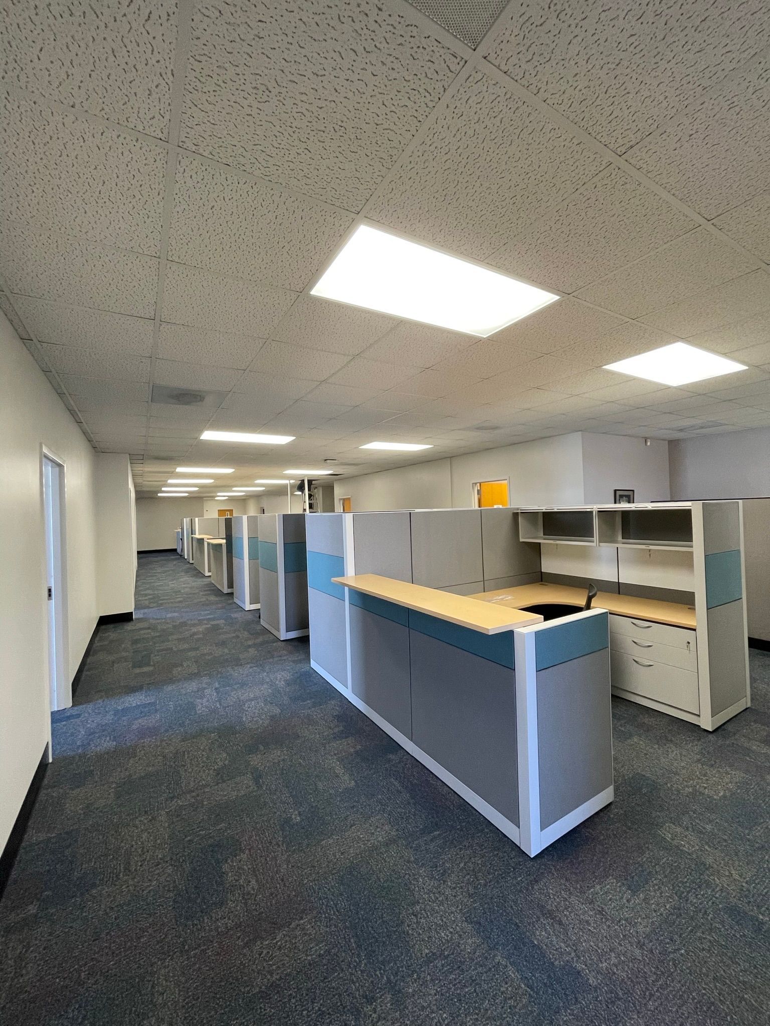 Empty office with rows of cubicles, blue carpet, and fluorescent lights.