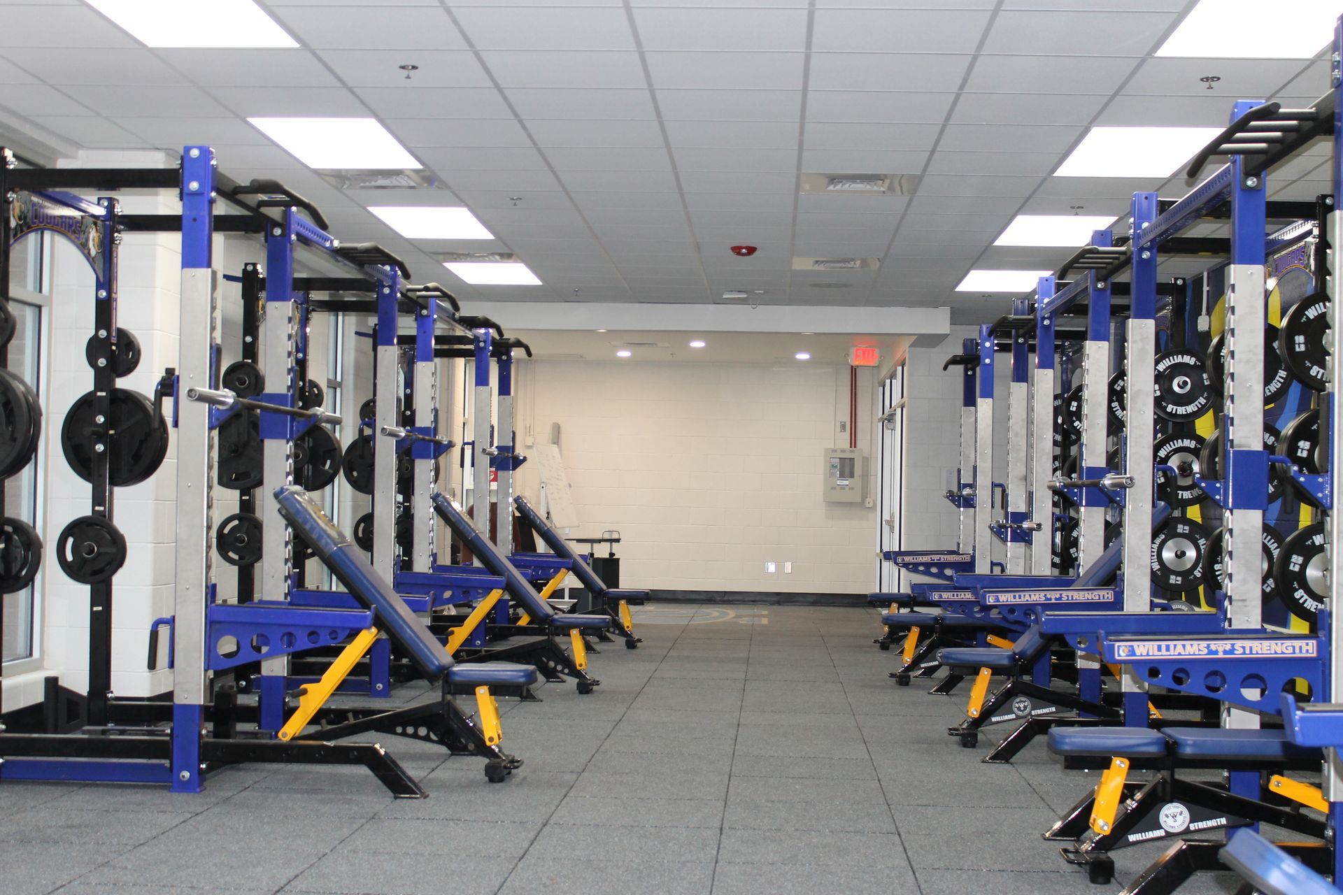 Weightlifting gym with rows of blue and yellow power racks, benches, and weight plates.