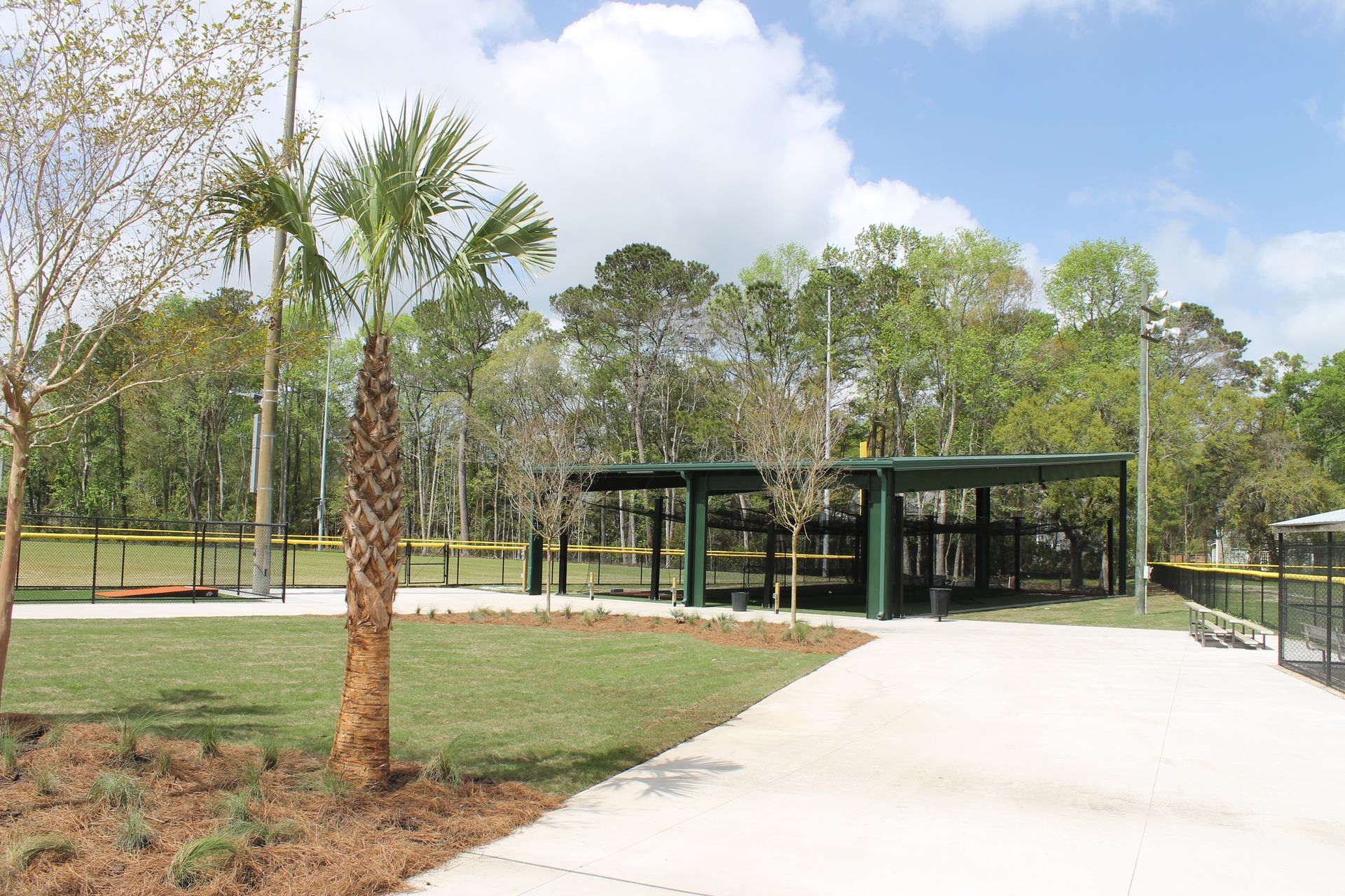 Park with palm tree, covered shelters, paved walkway, and baseball field in background.