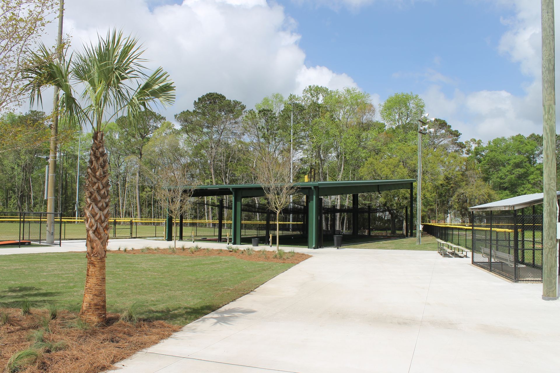Baseball field with covered dugouts, trees, and palm tree on a sunny day.