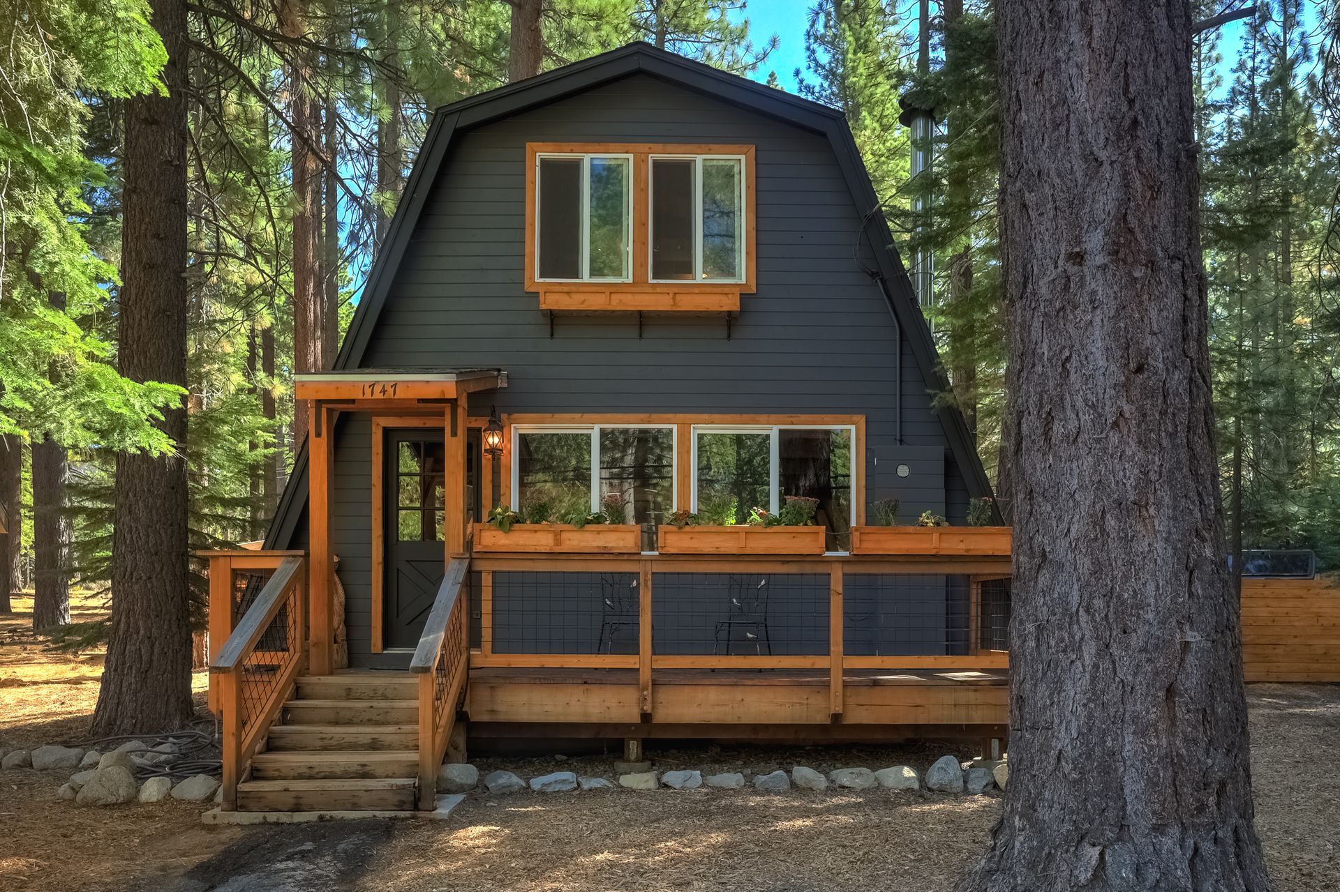 A small dark cabin with a wood deck and stairs in a forest of tall pine trees.