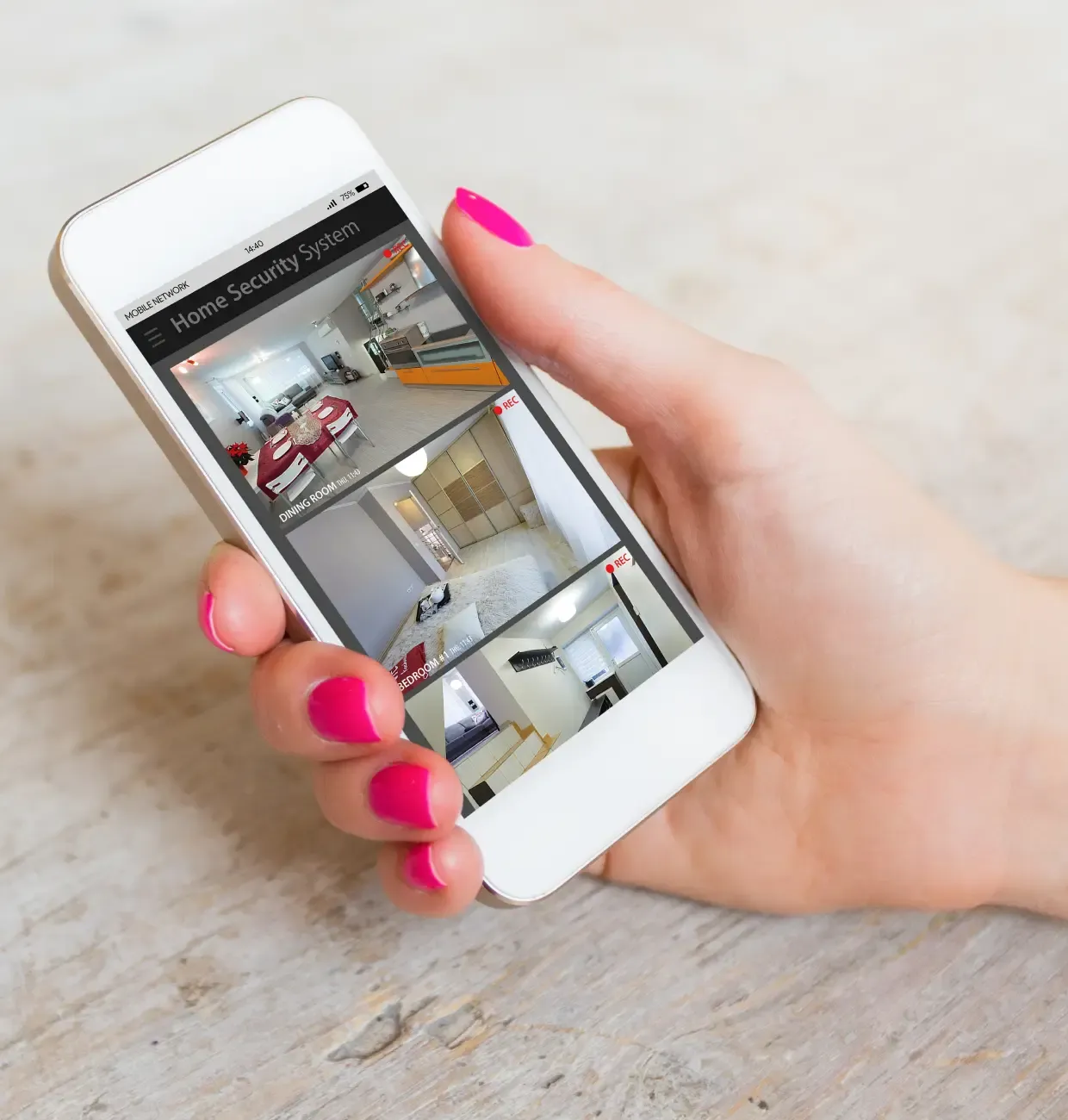 Video Security Monitoring Systems Hamilton Pasword Protection