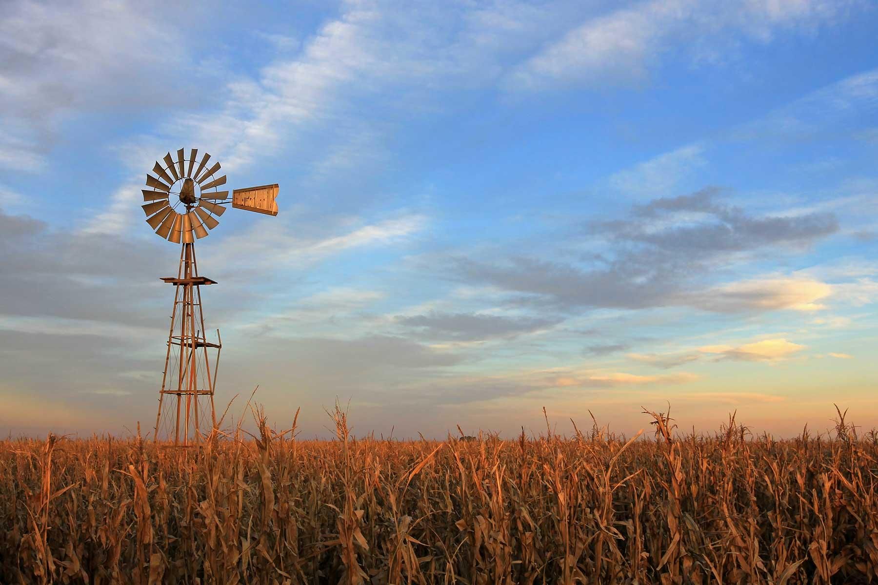 Windmill above a field of dry grasses at sunset under a blue, cloud-streaked sky
