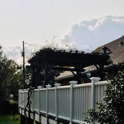 A wooden pergola covered in vines sits on a deck with a white railing against a cloudy sky.