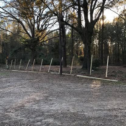 A line of tall wooden fence posts stands in a dirt yard in front of a wooded area at sunset.