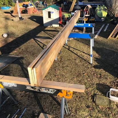 Two wooden boards are clamped together on a pair of blue and yellow sawhorses set up in an outdoor yard.