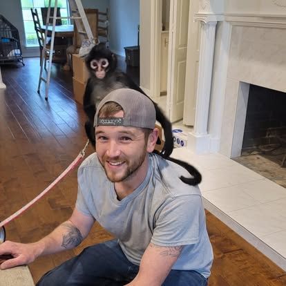 A smiling person sits indoors with a small black spider monkey perched on their shoulders, held by a pink leash.