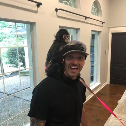 A smiling person wearing a baseball cap with a small spider monkey perched on their shoulder indoors.