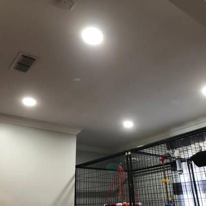 A white ceiling with four recessed lights and an air vent, positioned above a black wire metal animal cage.