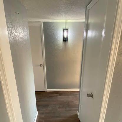 A hallway with gray walls, wood-look flooring, two white doors, and a single wall-mounted light fixture.
