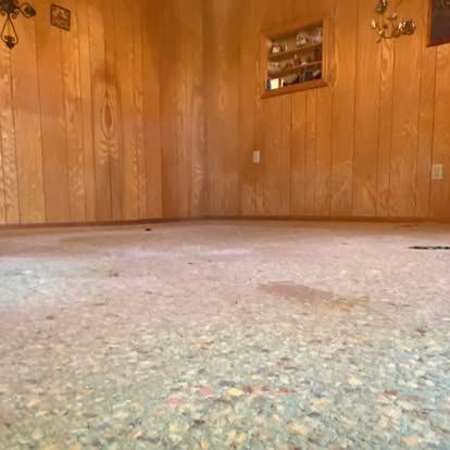 A low-angle view of a room with wood-paneled walls, an inset shelf, and a speckled, worn carpet floor.