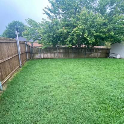 A grassy backyard framed by a wooden fence, with large green trees visible in the background under a cloudy sky.