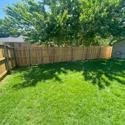 A sunny backyard with a lush green lawn, surrounded by a wooden privacy fence, with large tree branches casting shadows.