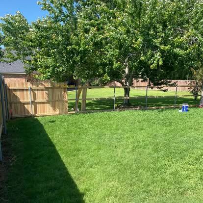 A wooden fence under construction in a grassy backyard with a large tree under a clear blue sky.
