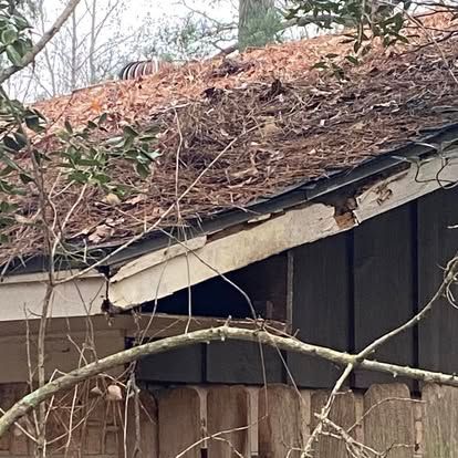 A roof edge with damaged, peeling white fascia board, topped with layers of brown pine needles and dead leaves.