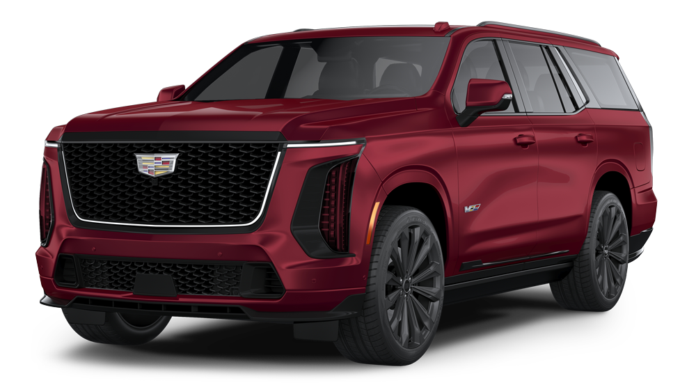 Level 3 — Full Body - Escalade 