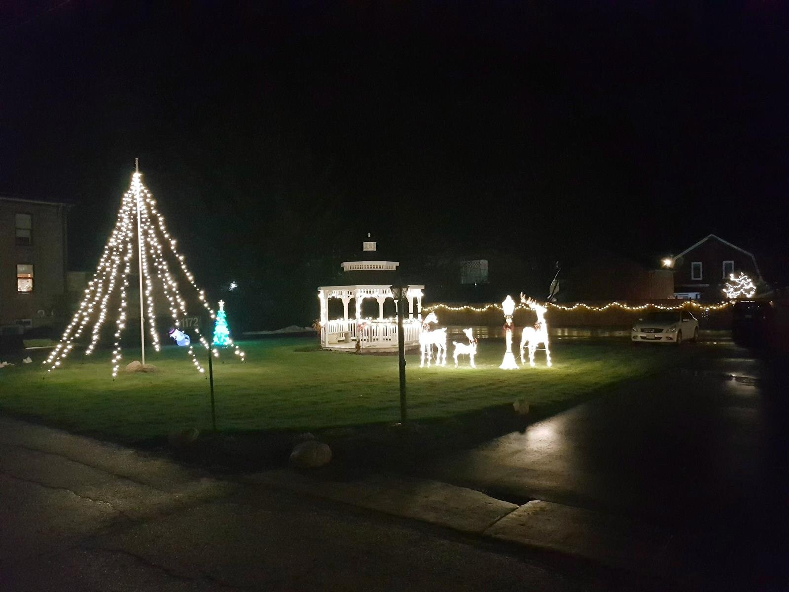 Nighttime park with a lit Christmas tree and glowing holiday reindeer display on the lawn