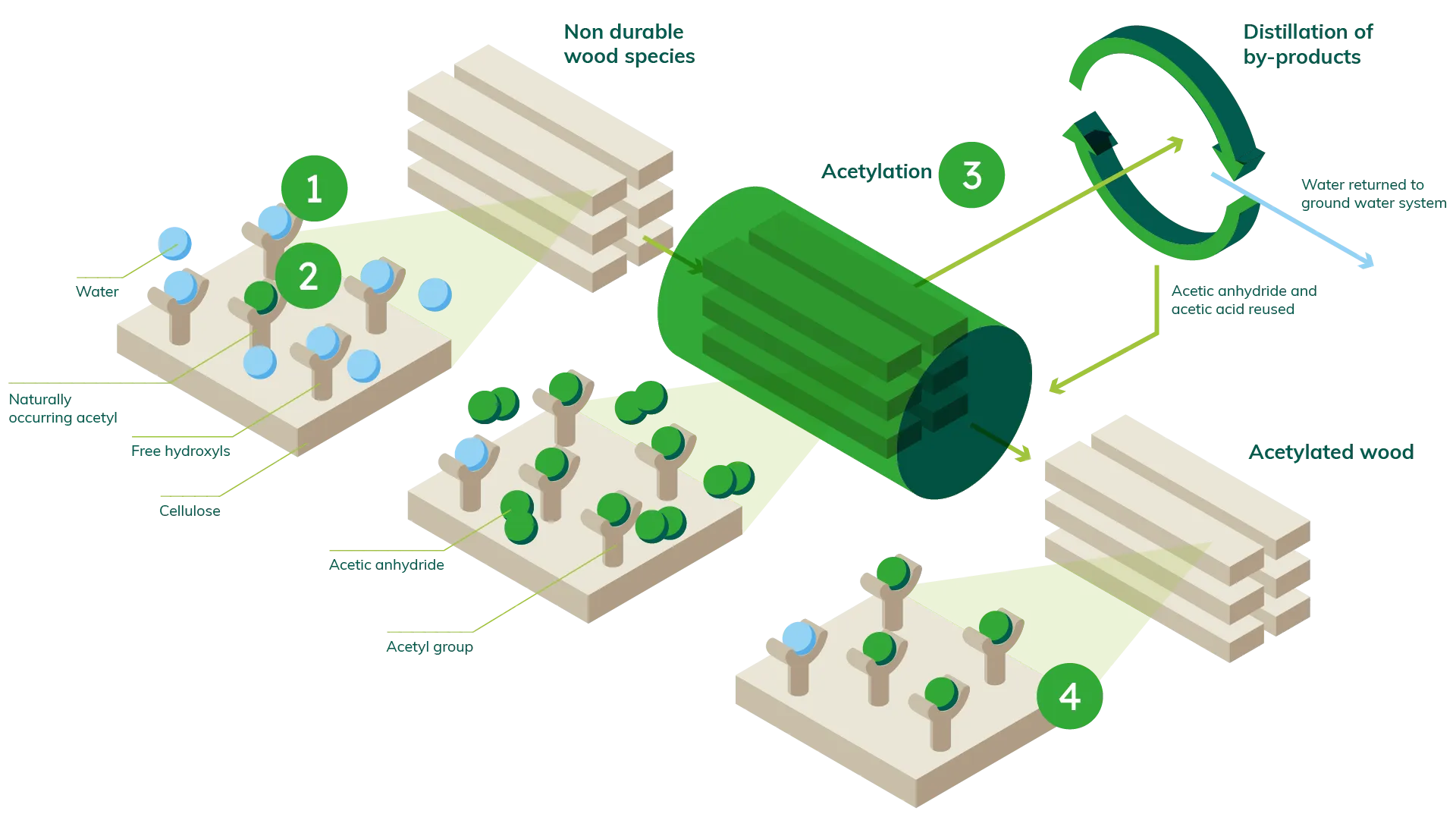 an isometric diagram of a forest with numbers 1 through 3