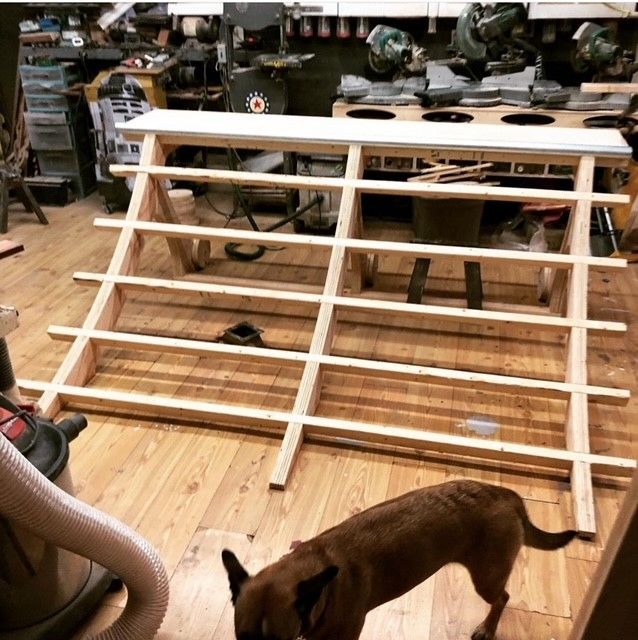 a dog standing next to a wooden skateboard ramp that is being built