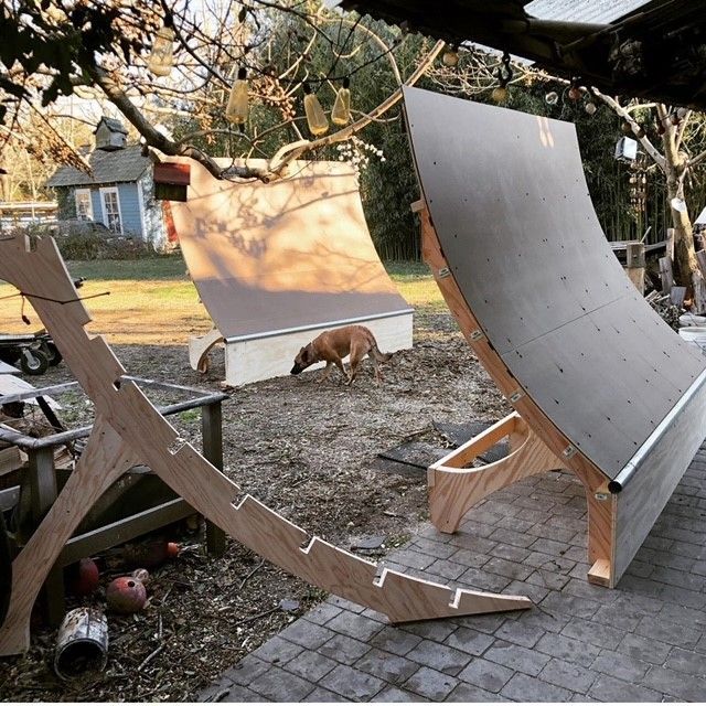 a dog standing next to a skateboard ramp that is being built