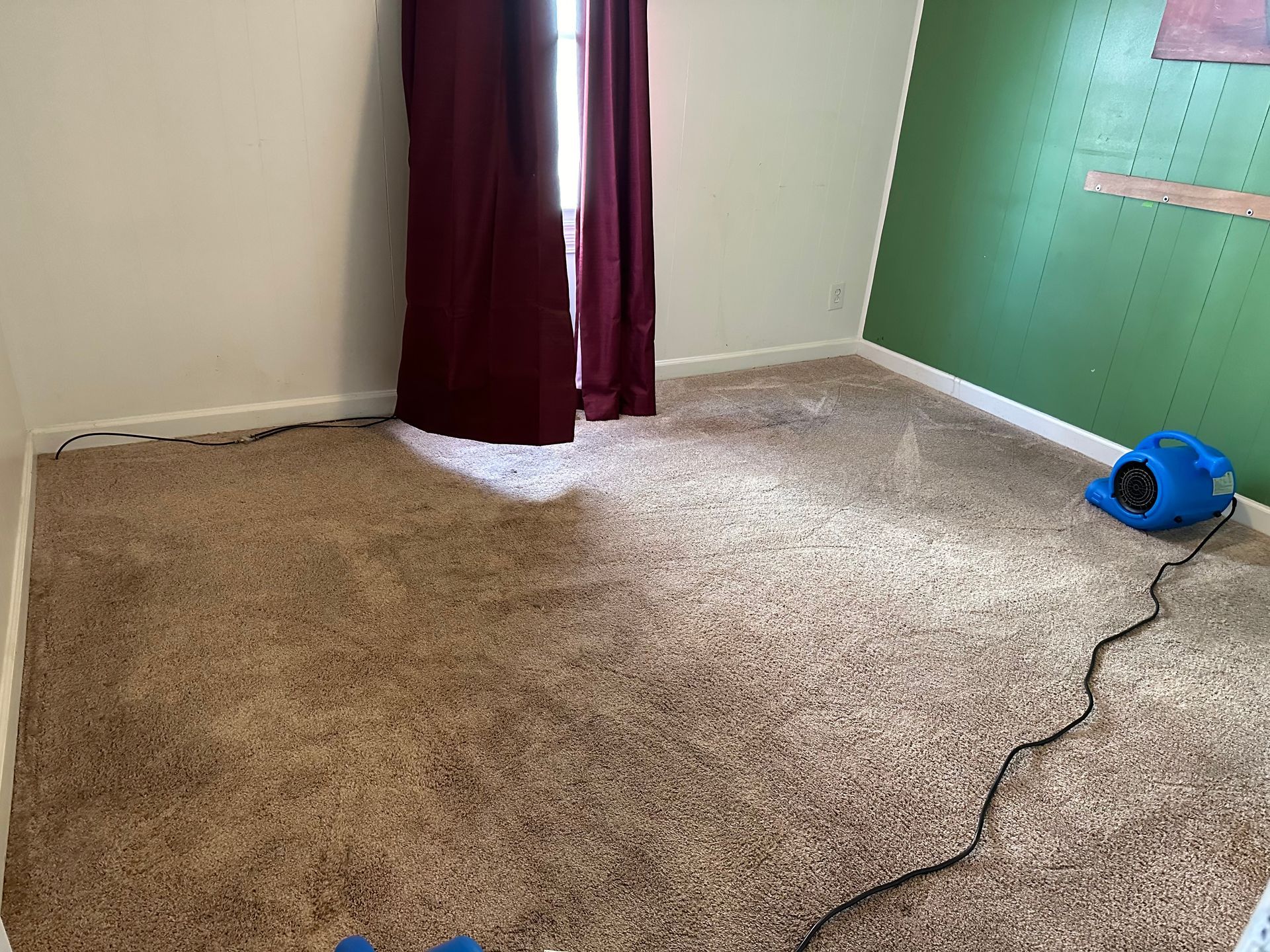 A room with a carpeted floor and a blue fan on the floor.