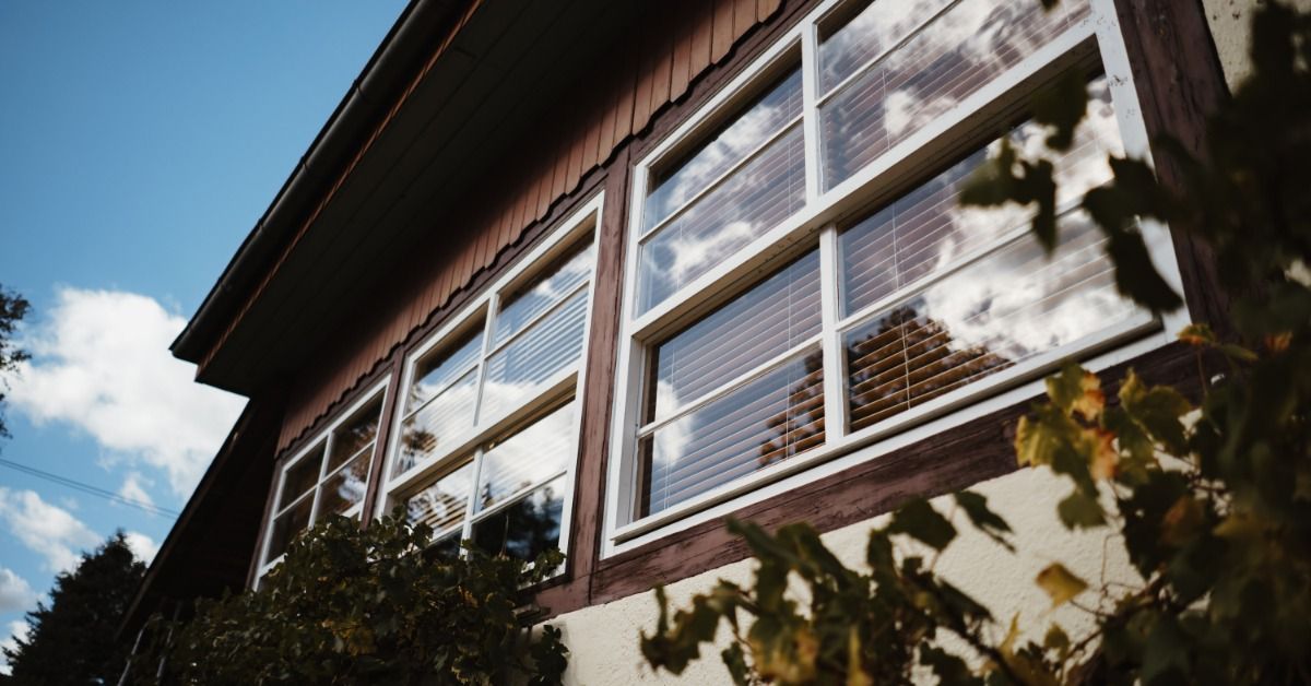 Exterior house windows reflecting clouds and blue sky, framed by wood trim with leafy plants growing along the wall.