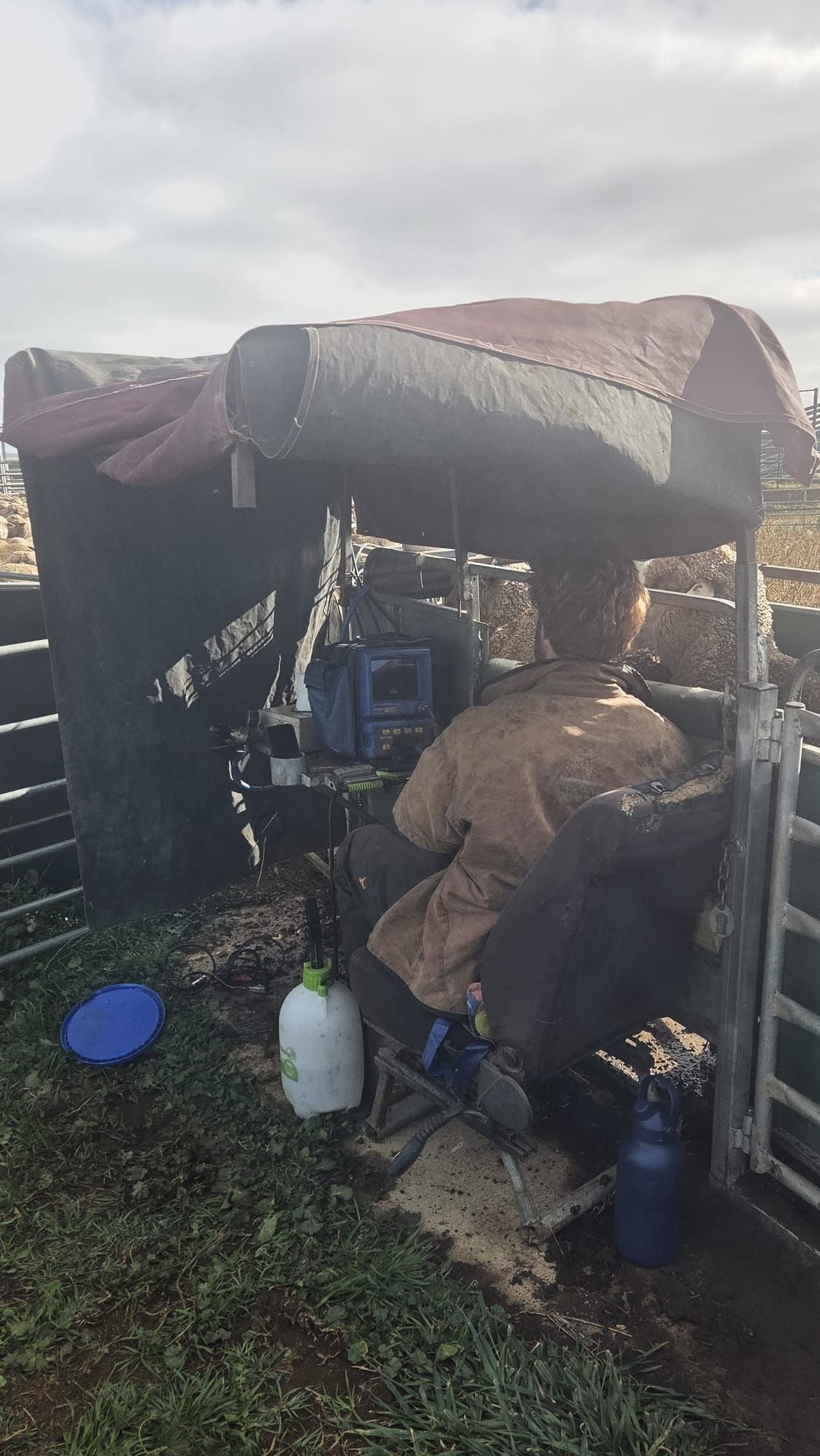 Person seated under a tarp shelter beside a metal fence, with containers and belongings nearby. — Dusty Rural Contracting in Coolac, NSW