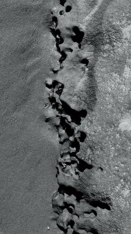 Gros plan en niveaux de gris d'une fissure verticale irrégulière dans une surface de béton ou de pierre rugueuse